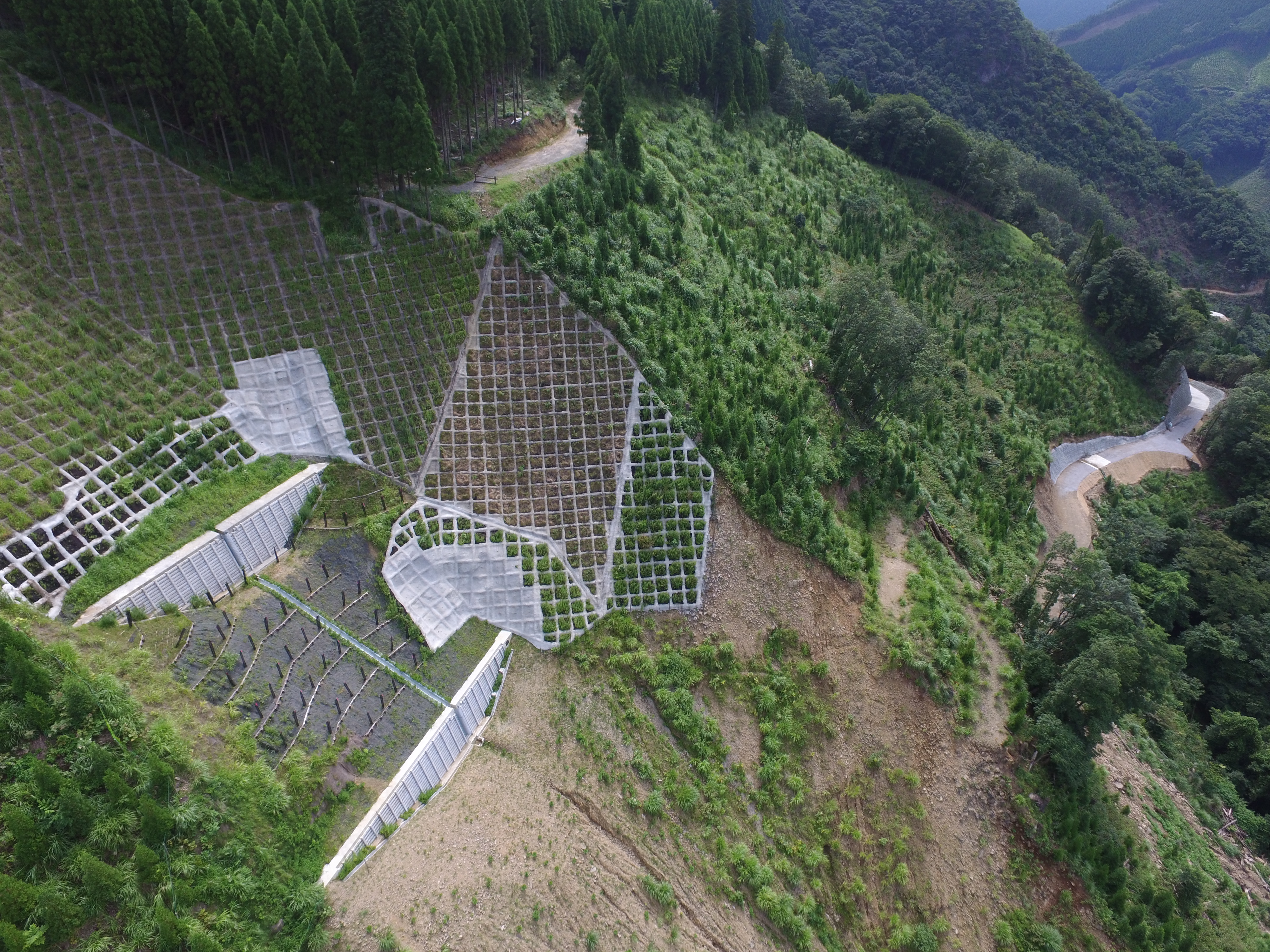 南局復旧 第１号 アラヒラ地区治山工事