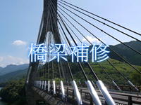 実績