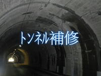 実績