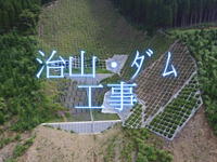 実績