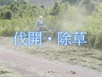 実績